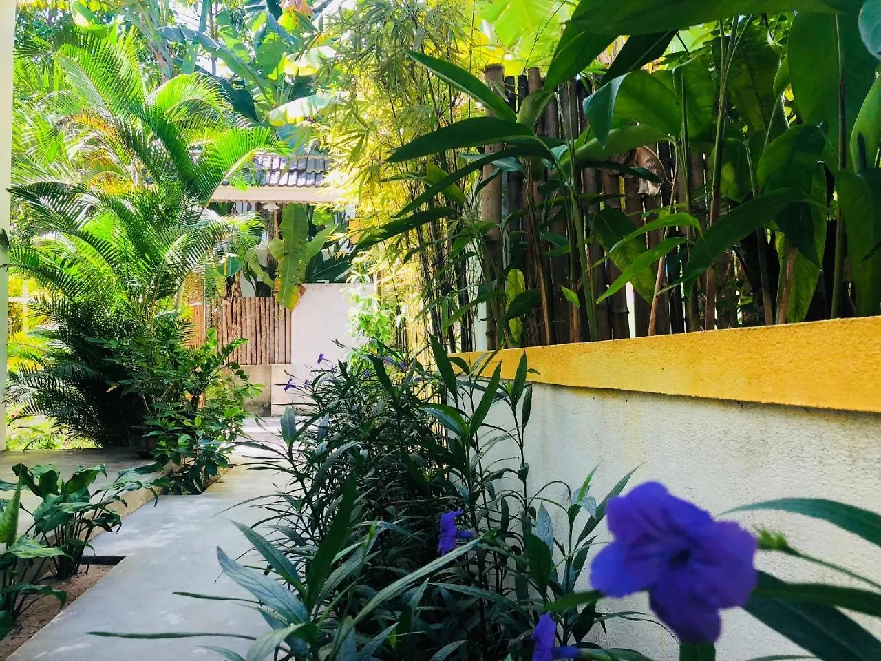 The Beach Hoi An Homestay Alojamento de Acomodação e Pequeno-almoço
